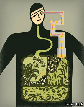 microbiote