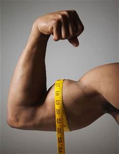 Mesure de biceps