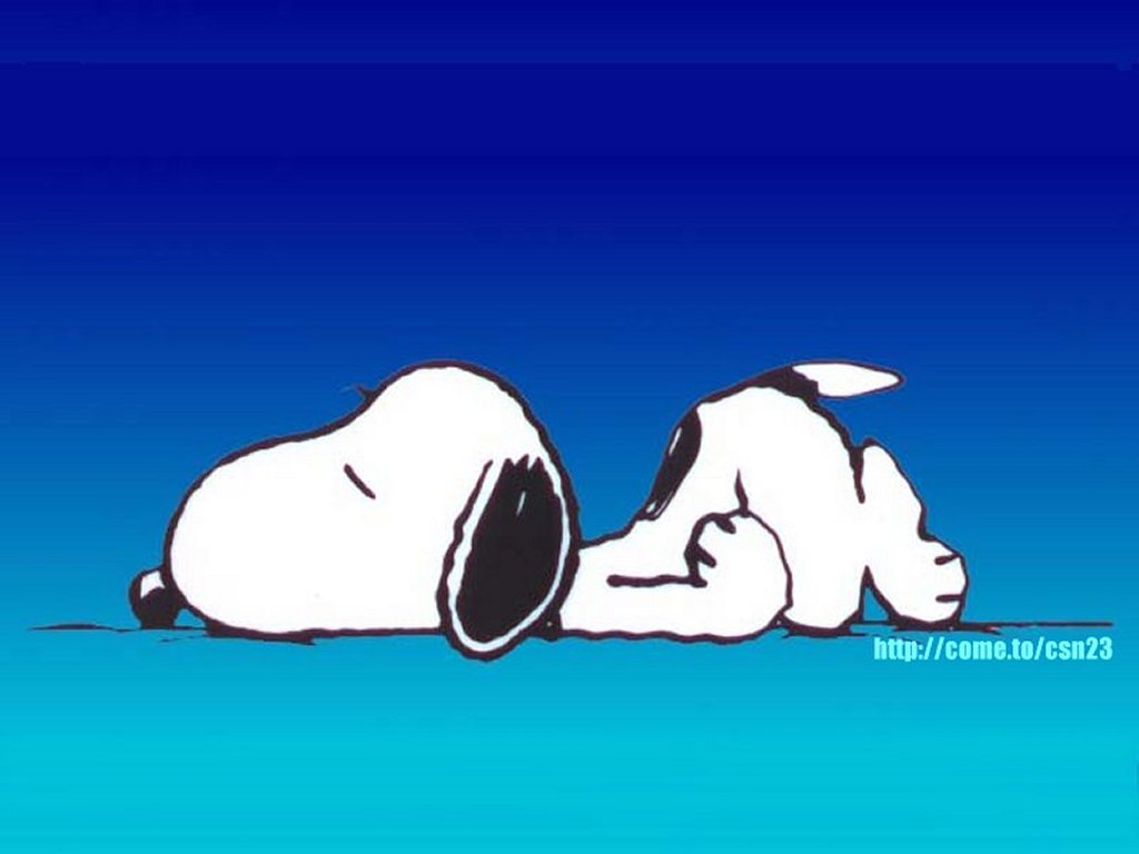 snoopy_sleep