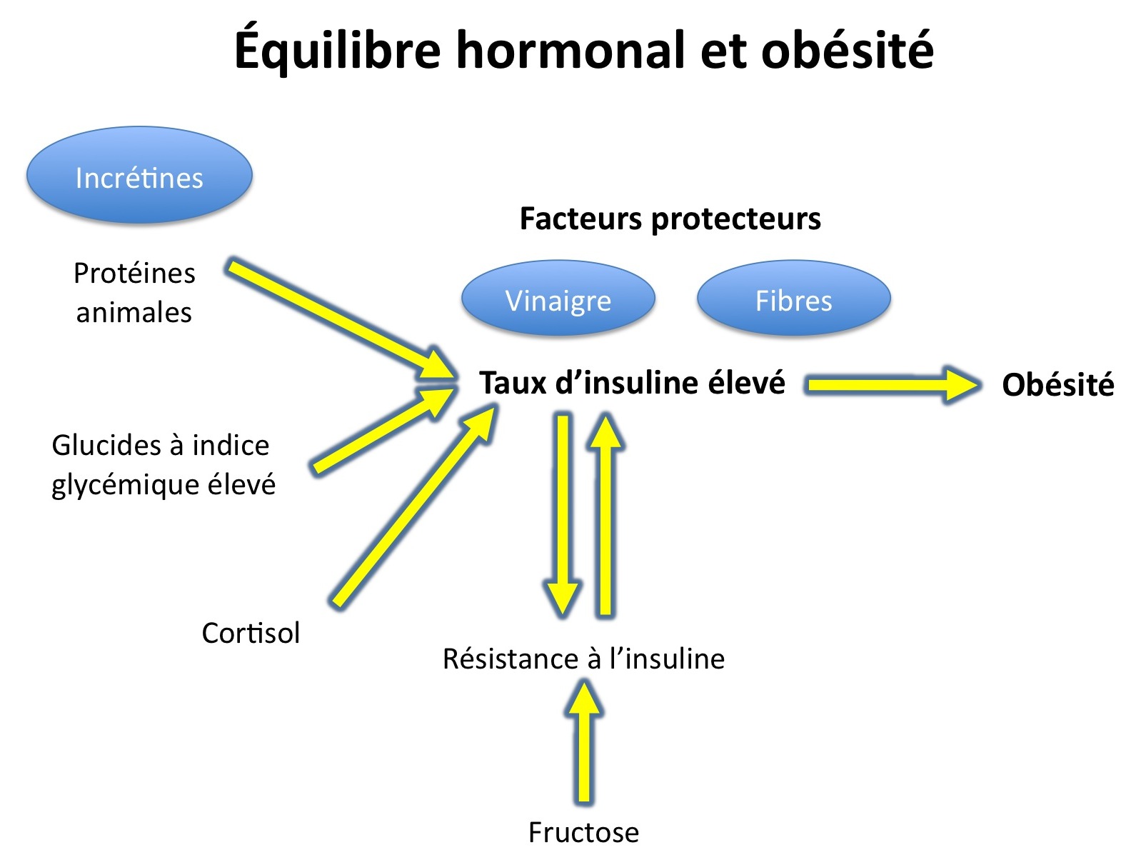 HormonalTheoryOfObesity-fr