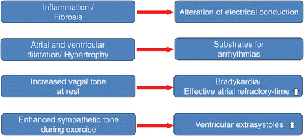 atrial-fibrillation-mechanisms