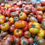 Heirloom_tomatoes