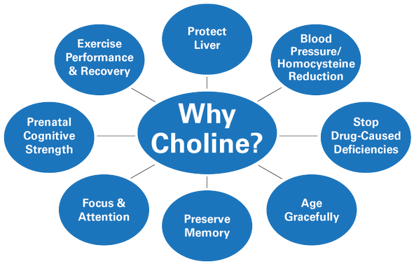 Why choline