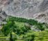 Vallée de la Hunza